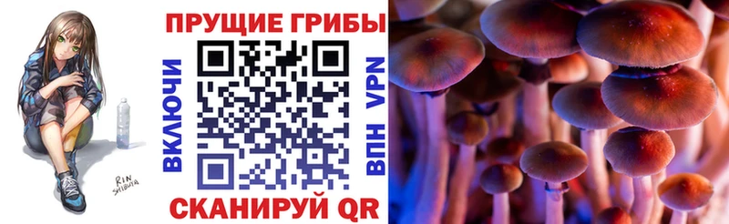 Псилоцибиновые грибы ЛСД  Пыть-Ях 